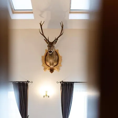 Transylvanian Relax House