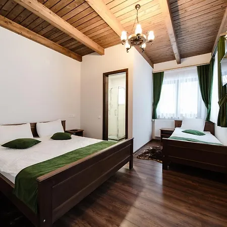 Transylvanian Relax House Alpesi faház *